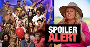 Big brother's marley reveals his motivation behind being on the show. It Looks Like The Final Three On This Year S Big Brother Has Already Leaked The Wash