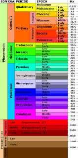 Using relative and radiometric dating methods, geologists are able to answer the question: Dating Fossils How Are Fossils Dated Fossilera Com