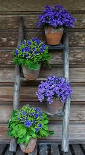 Ver más ideas sobre patios cordobeses, patios, jardinería. Diseno De Jardines Con Flores Jardineria Decoracion Con Flores