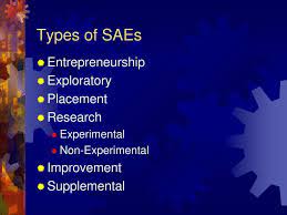 Types Of Saes Ppt Download