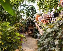 Schaffitzel greenhouse proudly serves springfield and the surrounding areas. Schaffitzel S Flowers Springfield Mo