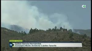 Maybe you would like to learn more about one of these? Incendio Forestal En Arico Tenerife Avance Youtube