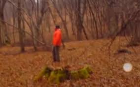 Locuitorii din orasele din apropiere sustin ca padurea, care are in mijloc o. PÄƒdurea Hoia Baciu In Topul Bbc Al Celor Mai Bantuite PÄƒduri Din Lume