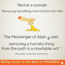Removing From Path Quran Quotes Inspirational Islamic Love Quotes Islamic Inspirational Quotes