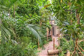 Der britzer garten ist ein naherholungsgebiet, eine große grünoase und ein beliebtes ausflugsziel im süden berlins. Botanischer Garten Wurzburg Tropenschauhaus Tieflandregenwald Fotos Botanischer Garten