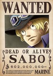 Mihawk's Bounty After Shichibukai's Abolishment - One Piece