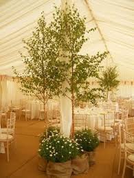 Adding A Tree To Your Marquee Wedding Gives A Stunning Perspective Tree Wedding Marquee Decoration Indoor Trees