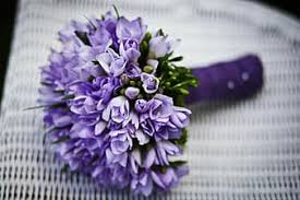 From lavender to wild indigo to china asters, you'll be sure to find the perfect bloom! Royalty Free Flower Photos Pikist