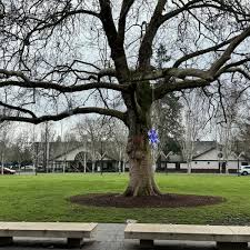 BEAVERTON CITY LIBRARY - Updated May 2025 - 94 Photos & 63 Reviews - 12375  SW 5th St, Beaverton, Oregon - Libraries - Phone Number - Yelp