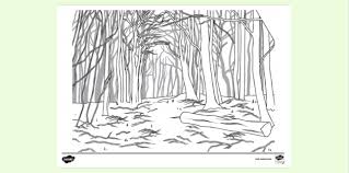 With all shades of brown and grey you can now design anything you feel like. Dark Woods Colouring Sheet Primary School Twinkl