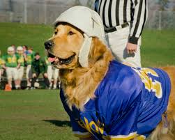 Check spelling or type a new query. Air Bud Golden Receiver 1998 Imdb