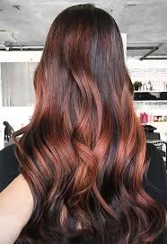 55 Auburn Hair Color Shades To Burn For Auburn Hair Dye Tips In 2020 Hair Color Auburn Dark Auburn Hair Auburn Hair