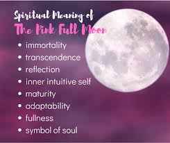 The seed grows into a flower, then blooms, and then dies. Pink Full Moon S Spiritual Meaning Pink Moon Meaning Moon Meaning Pink Moon