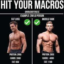 Pin On Workout