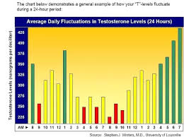 how much do testosterone levels fluctuate throughout the day