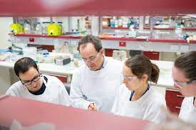 Prof ian davis (medical oncologist). Research Opportunities Grants And Scholarships Cancer Council