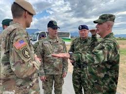 Image result for Sopubia conferta