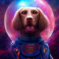 Космическая собака и цветок» — создано в Шедевруме