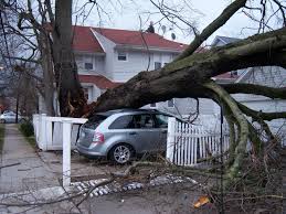 5625 strand blvdsuite 501 naples, fl. Is Hurricane Insurance The Same As Flood Insurance In Florida Anidjar Levine