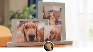 Should you send them a card? Loss Of A Pet Pet Sympathy 1800flowers