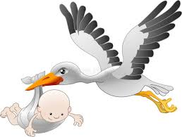 Stork Delivering A Newborn Baby Illustration Of A Flying Stork Delivering A New Aff Newborn Delivering Stork Baby Stork Baby Clip Art Cartoon Birds