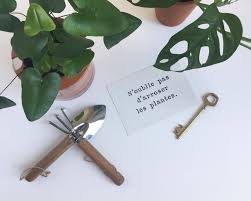 Maybe you would like to learn more about one of these? Guide De Survie Des Plantes Pendant Les Vacances