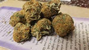 Check spelling or type a new query. Chronic Marijuana Strain Information Leafly