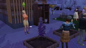Fama y rep esto no: Til If You Have The Basemental Drugs Mod People Will Autonomously Plant Weed In The Community Garden Thesims