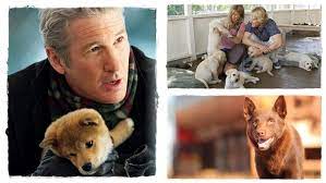 Kuta bajnok teljes flm magyarul orszagos bajnok a kaposvari kutyas csapat szines magyarul beszelo amerikai filmdrama 111 perc sword flazz bizonyos sorozatokat angolul és magyarul is feltöltünk, hiszen sokatok angolul követi ezen sikersorozatokat az. A 15 Legjobb Kutyas Film Amit Feltetlen Latnod Kell Filmezzunk