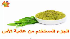 pin on اعشاب للشعر