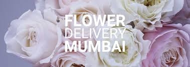 We did not find results for: The 6 Best Options For Flower Delivery In Mumbai Flower Delivery Reviews