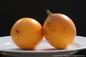 Image result for Passiflora ligularis