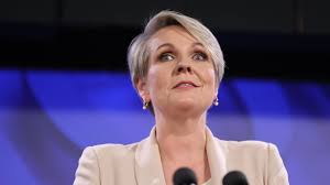 ‘Stinks like a bad smell’: Tanya Plibersek called out over gold mine  controversy