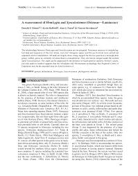 Image result for Syncolostemon oritrephes