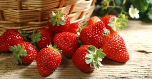 Cilekte Gorulen Onemli Hastalik Ve Zararlilar