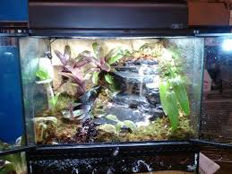 Image Result For Vivarium Waterfall Construction Terrarium Reptile Tank Waterfall