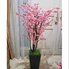 Check spelling or type a new query. Pohon Meihwa Pink Bunga Sakura Merah Dekorasi Imlek Murah Hiasan Tahun Baru Bunga Meihwa Shopee Indonesia
