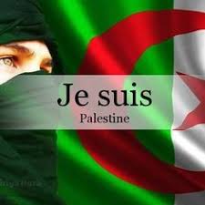 صدمة مصري عندما سألوا الشارع الجزائري لو كانت الجزائر بجوار فلسطين كنتوا عملتوا إيه وكان الرد مفاجأة. ÙÙ„Ø³Ø·ÙŠÙ† ÙˆØ§Ù„Ø¬Ø²Ø§Ø¦Ø±