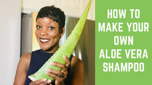 When you make your own shampoo at home, you know exactly what goes into it. How To Make A Diy Aloe Vera Shampoo For Dry Damaged Hair Youtube
