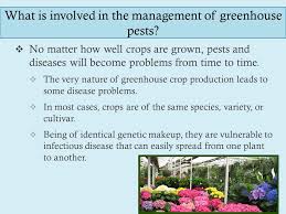 Natural enemies can be effective, and pesticides (chemical substances for controlling pests) are only used when. Integrated Pest And Disease Management In Greenhouse Crops