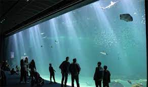 Grand aquarium de touraine billet valable pour une visite jusqu'au 2 janvier 2022, selon calendrier d'ouverture du site. Nausicaa France The Biggest Aquarium In Europe The Good Life France Big Aquarium Aquarium France