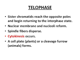 The uptake of glucose in red blood cells d. Mitotic Cell Division Exercise 7 Objectives Know The