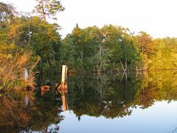 We did not find results for: Atsion Lake Wikipedia