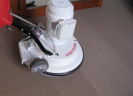 We did not find results for: Nettoyage De Tapis A Sec Ils Seront Secs Immediatement Mais Sont Ils Bien Laves