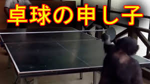 Jul 15, 2021 · 日本卓球史上初のメダルとなったロンドン五輪女子団体の銀メダルも現地で取材。 Dal Wntggoyyjm