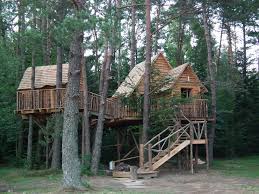 Check spelling or type a new query. Constructeur De Cabane En Bois Conception Et Realisation