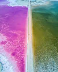 8 144 Likes 241 Comments South Australia Southaustralia On Instagram Summer S Over But Harriet River Swim Club Captain Pink Lake Beach Road Trip Trip