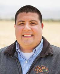 California Sweet Potato Season in Full Swing