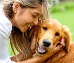 Peut On Donner Du Pain A Un Chien Wanimoveto