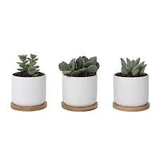 White Ceramic Succulent Pots With Bamboo Tray Set Of 3 4 Inch Succulent Planter Fits Larger Variety Of Pl Small Flower Pots Small Potted Plants Flower Pots